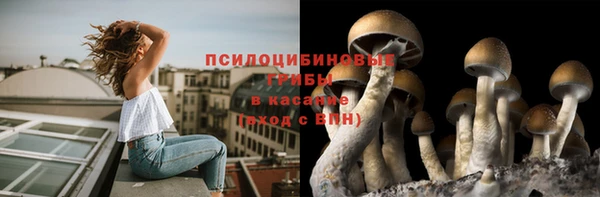 спиды Майский