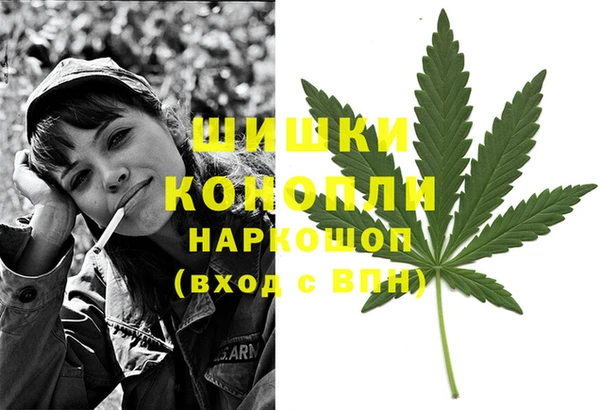 дмт Мегион