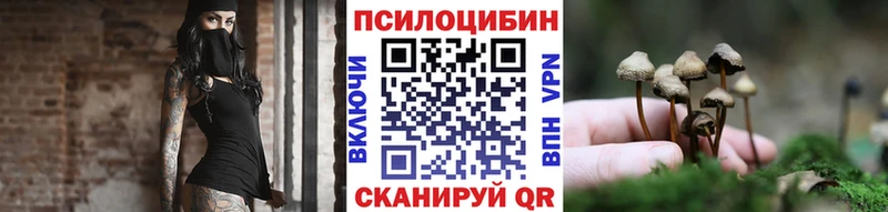 Псилоцибиновые грибы MAGIC MUSHROOMS  blacksprut как войти  Сызрань 